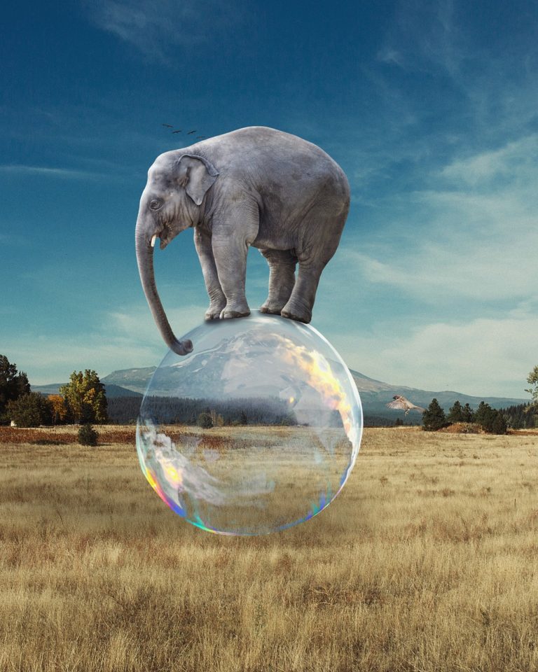 elephant, bubble, balance-5695145.jpg