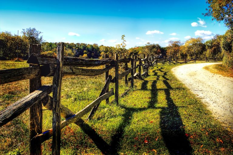 country lane, country, road-581076.jpg