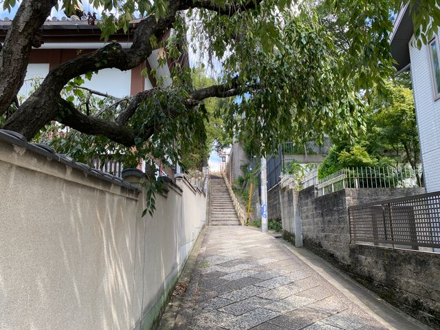 pexels-kazu1000-33276781