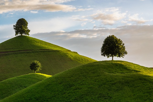 susnpics-hill-5324149_640