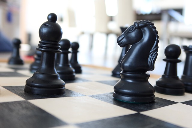 peterzikas-chess-4953722_640